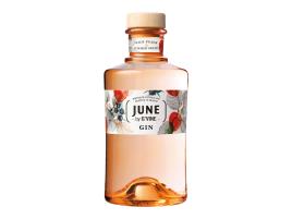 Gin June By G'vine Wild Peach 0.70l