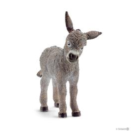 Burro, cria