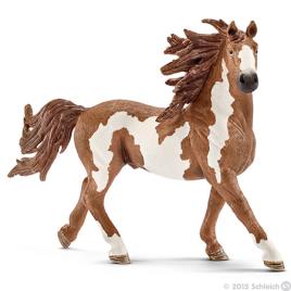 Cavalo Pinto