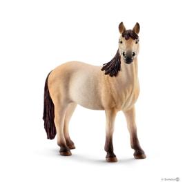 Égua Mustang