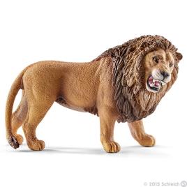 Leão, a rugir