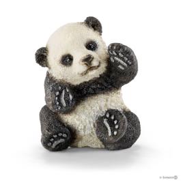 Panda, cria