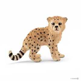 Chita, cria
