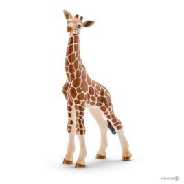 Girafa, cria