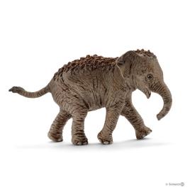 Elefante Asiático, cria