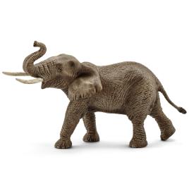 Elefante Africano, macho