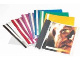 Capa  Clear View Cinzento (A4)