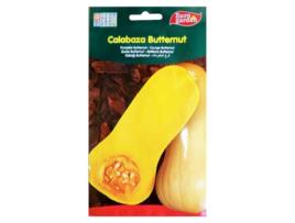Semillas fito horticolas calabaza butternut 06428 (caja 10 unidades)