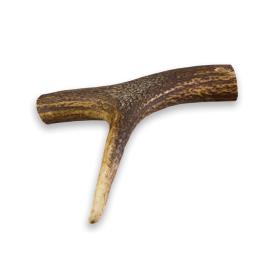 True Origins Chifre de Cervo Wild para cães