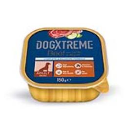 Dogxtreme Terrina para cães de raça mini