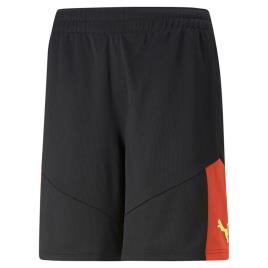 Puma Individualfinal Shorts  S Hombre