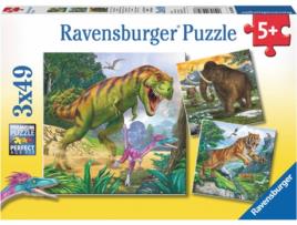 Puzzle  4005556093588 (49 Peças)