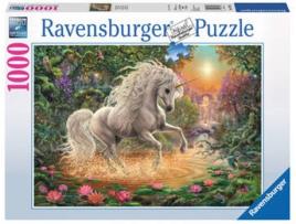 Puzzle  00.019.793 (1000 Peças)