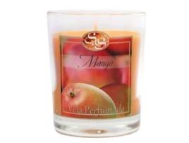 S&S Vela vaso 6,5x7,5 S&S manga