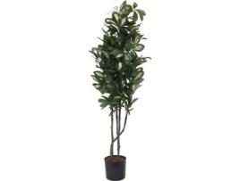 Planta Artificial EUROPALMS Schefflera (Verde - 90 cm)