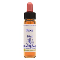 Pinho 30 ml de elixir floral - Healing Herbs