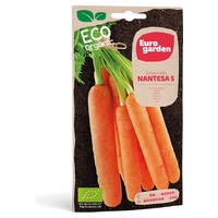 Cenoura Nantesa 5 Eco 2 g - Euro Garden