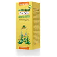 Ficus carica gemmo total 50 ml - Lemuria