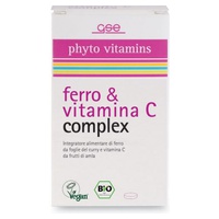 Complexo de Ferro e Vitamina C 36 g - GSE