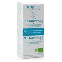 Pulmophase Xarope Api-Ar 125 ml - Api Ar