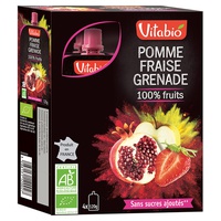 Pacotinho Frutas Maçã, Morango e Romã 4 unidades de 120g - Vitabio