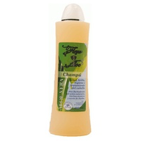 Champô de Aloe Vera 500 ml (Aloe Vera) - Fleur aloe