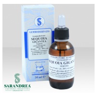 Extrato de Sequoia Gigantea Bud 500 ml - Sarandrea Marco