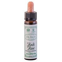 n ° 26 Rock rose 10 ml - Ainsworths Flower Remedy