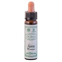 n ° 13 Gorse 10 ml - Ainsworths Flower Remedy