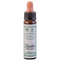 n ° 14 Urze 10 ml - Ainsworths Flower Remedy