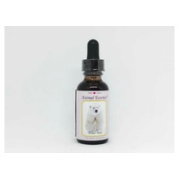 Essência animal do urso polar 30 ml - Wild Earth Animal Essences