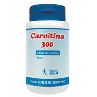 Carnitina 300 30 cápsulas de 300g - Natural Point