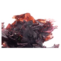 Dulse- Algas Marinhas Orgânicas 40 g - Goemonier