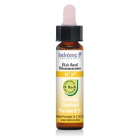 Elixir Floral N°37 Verbena Bio 10 ml de elixir floral - Ladrome
