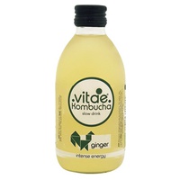 Ginger Kombucha 500 ml - Vitae Kombucha