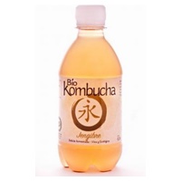 BioKombucha Ginger 0,33 L - BioKombucha