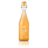 Kombucha Chumbo Love 750 ml - Soul K