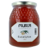 Mel de Eucalipto 1 kg - Muria