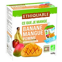 Bebida de Maçã, Manga e Banana Bio 4 unidades - Ethiquable