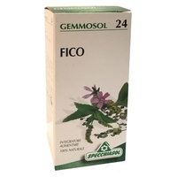 Gemmosol 24 Figo 50 ml - Specchiasol