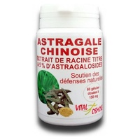 Astrágalo Chinês Extrato de Raiz 60 cápsulas - Vitalosmose