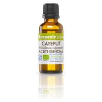 Óleo Essencial de Cajeput Bio 30 ml de óleo essencial - Terpenic