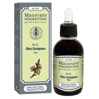 Olea Europaea Macerated 1 L - Erboristeria Magentina