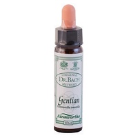 n ° 12 genciana 10 ml - Ainsworths Flower Remedy