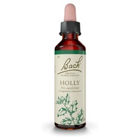 Floral de Bach 15 Azevinho (Holly) 20 ml de elixir floral - Fleurs de Bach® Original