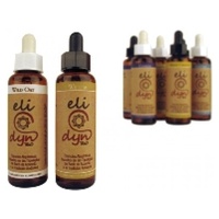 Chesnut Bud 20 ml de elixir floral - Elidyn