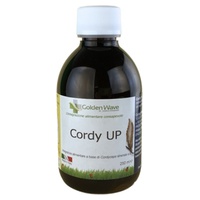 Cordy-up 250 ml - Golden Wave