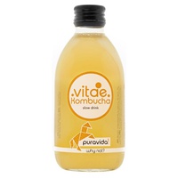 Kombucha Chá Verde Pura Vida 250 ml - Vitae Kombucha