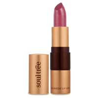 Batom Ice Plum 1 unidade (Vermelho) - Soultree
