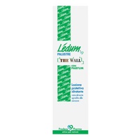 Ledum The Wall 100 ml - Prodeco